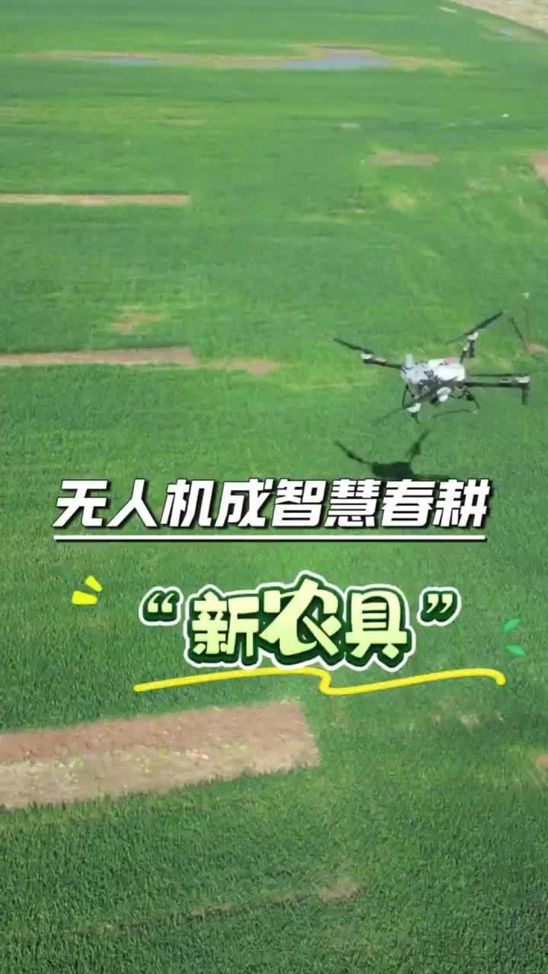 150亩芝麻被AI