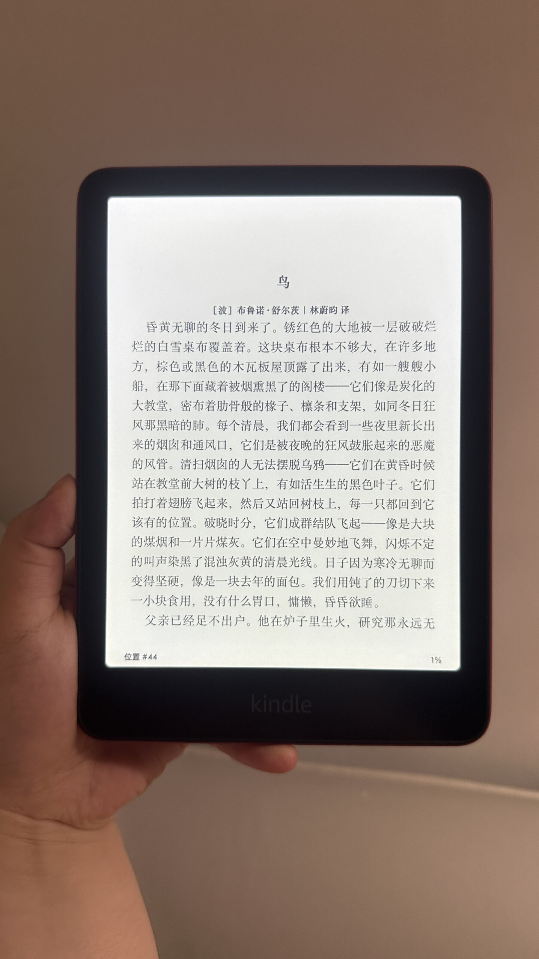 Kindle涨价抢购后到手先别急:翻了60多篇翻车/下车帖,阴阳屏判定、验机5步、退换线都给你划好了