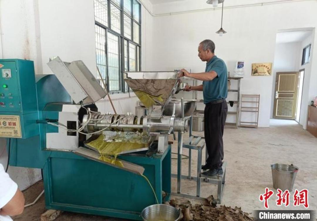 种子油恐慌刷屏第二年:站在超市油墙前的你,哪些钱真值得花