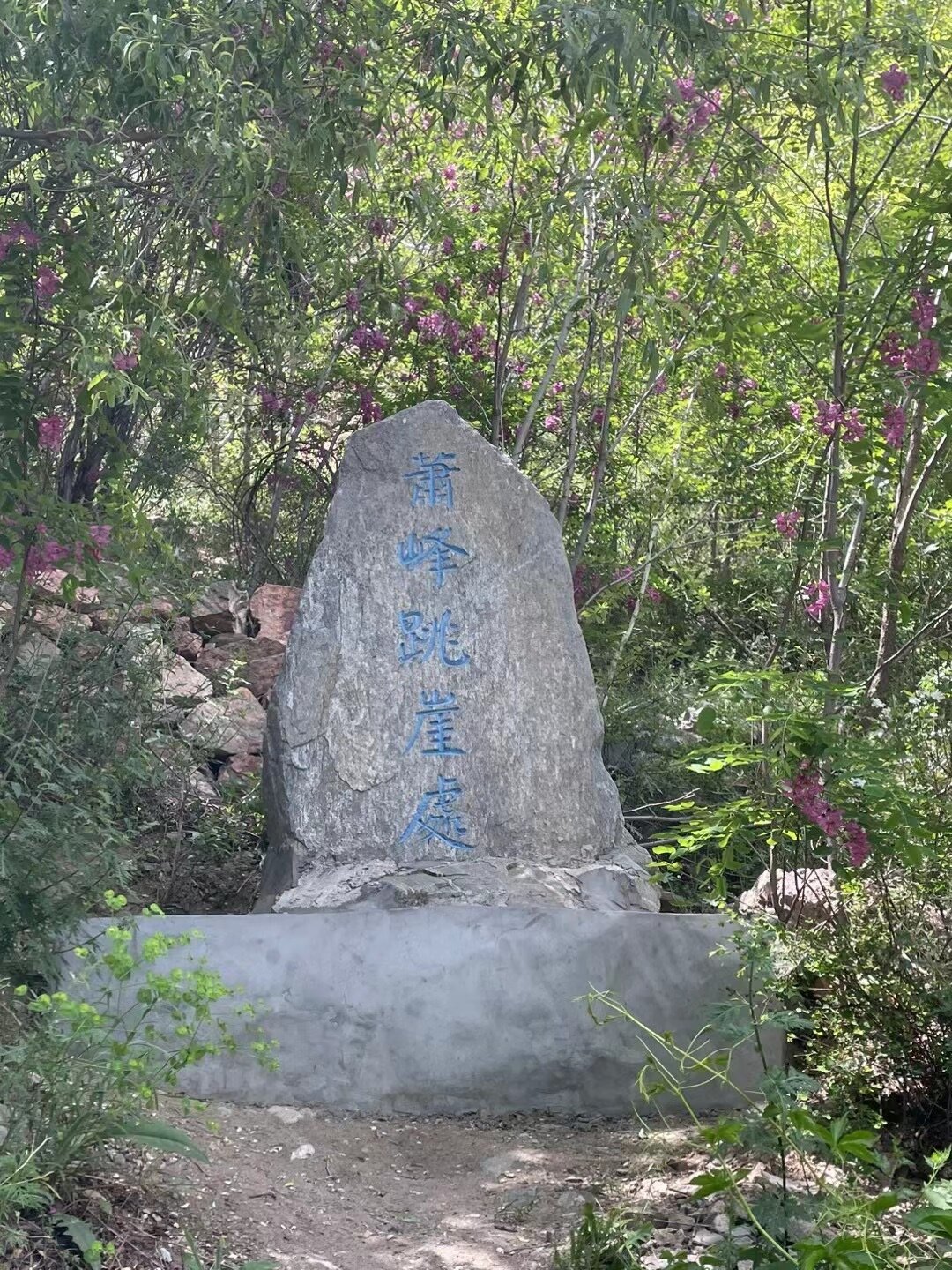 865万浏览都在