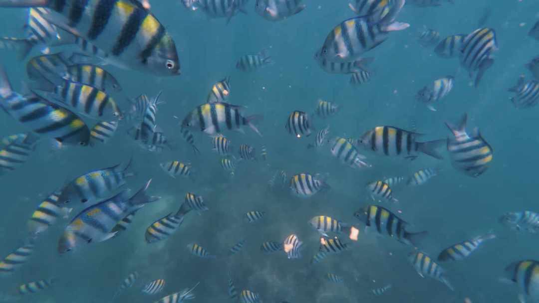 8月就有8个台风生成,9月预计还有4-6个:国庆浮潜别急着退,先弄懂海况恢复的规律