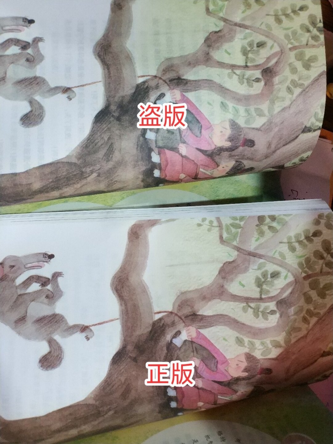 明天开学,班级群疯传的“必读书单”先别急着下单:四到六年级今年换新教材,照着去年买最容易买错