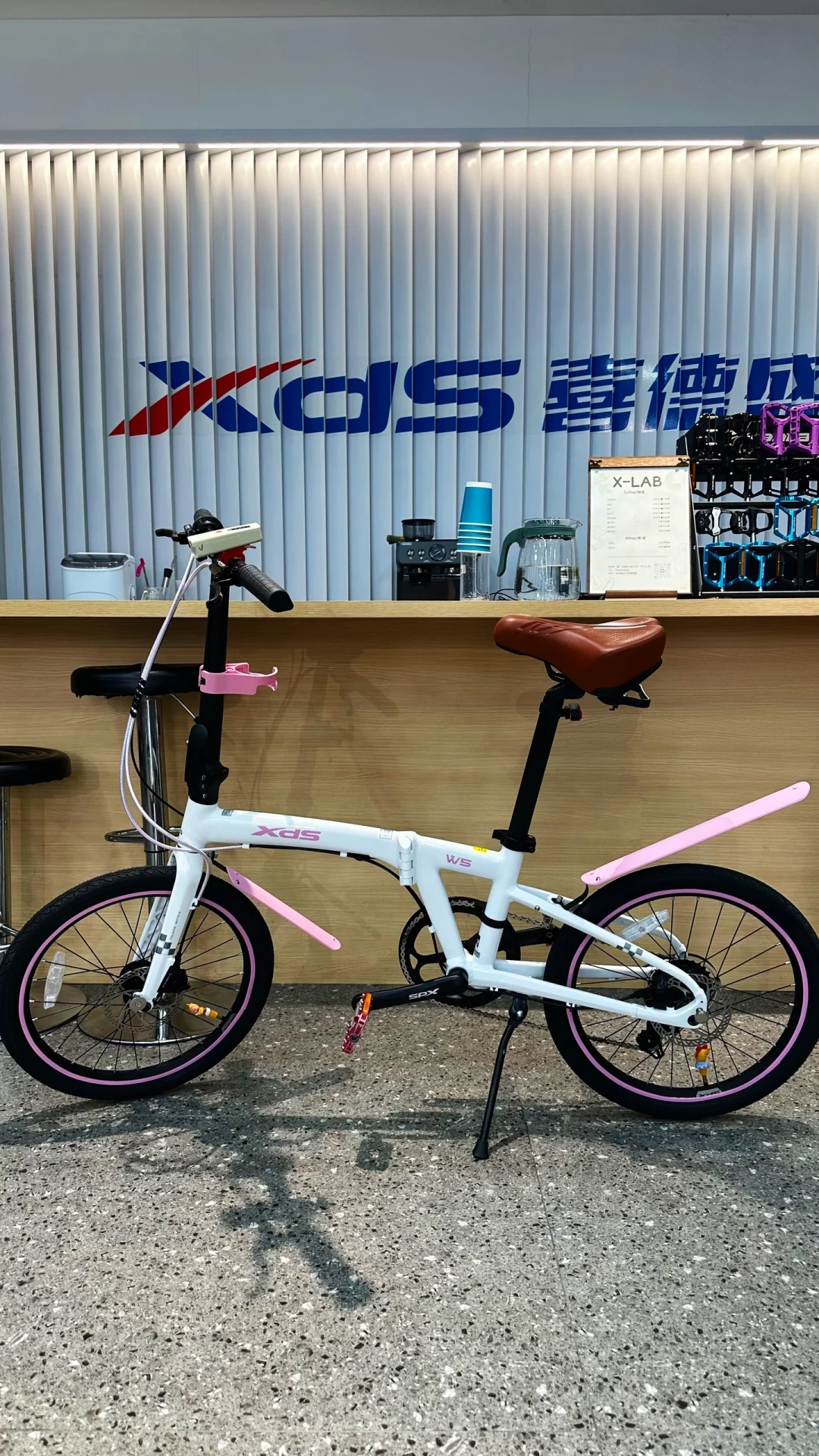 骑了半个月,秤纹丝不动:翻完全网折叠车减肥实录,我把7700大卡这笔账算清了