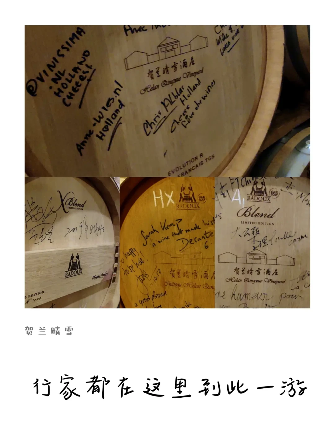 「获奖井喷」的宁夏酒,正在准备一场全球大场面:白葡萄已经开摘,10月12日OIV世界大会开进银川——先别急着喊智商税,也别急着闭眼囤,把261家酒企分成三条线再决定