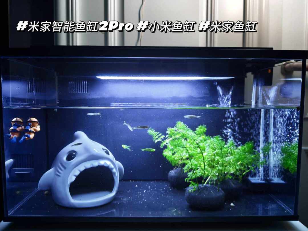 米家鱼缸2 Pro 599元开众筹：首代用户吐槽的三个老毛病，只有一个在纸面上给了答案