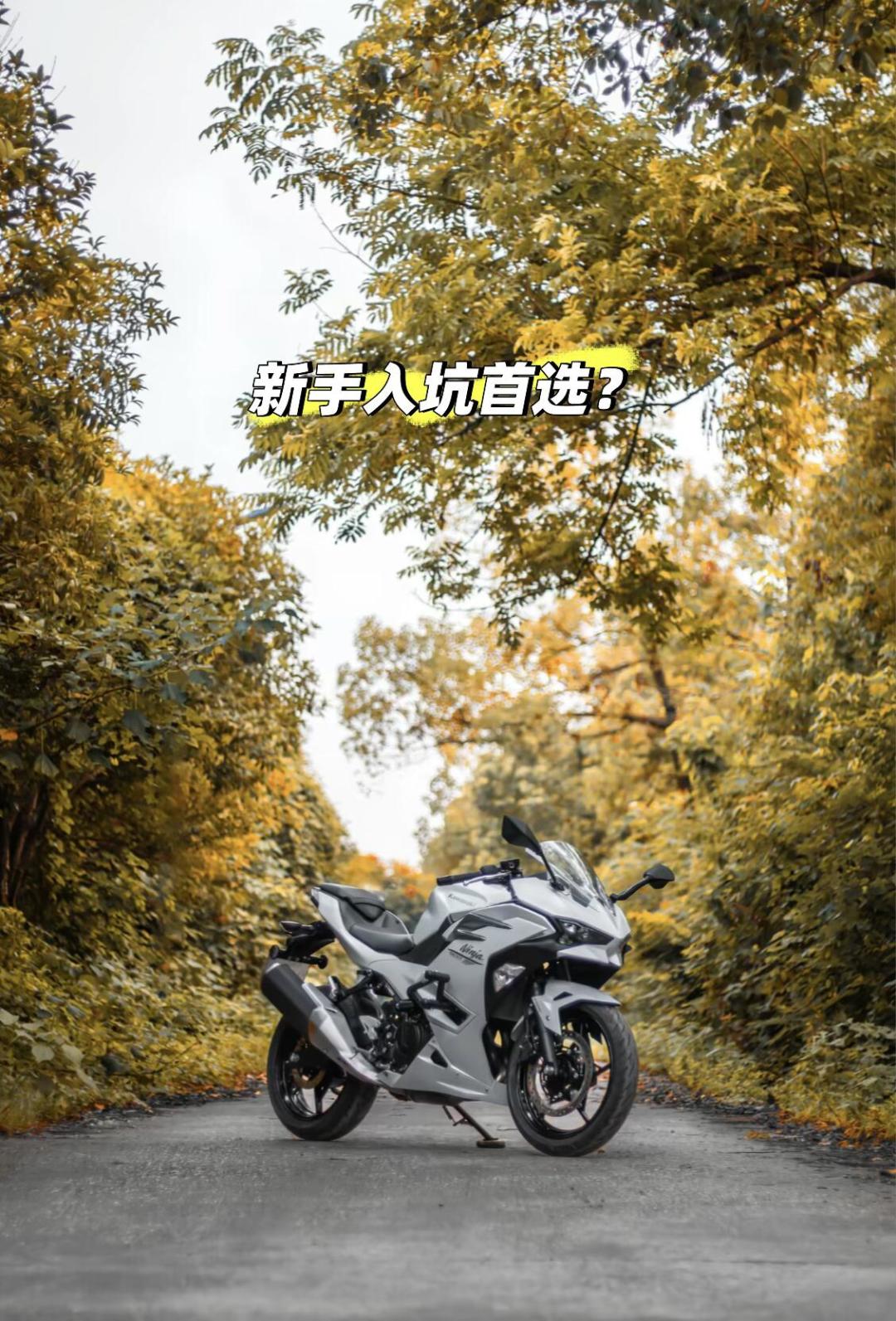 2999美元的川崎W175 LTD 60周年版海外上市:会引进吗?我的判断是别等
