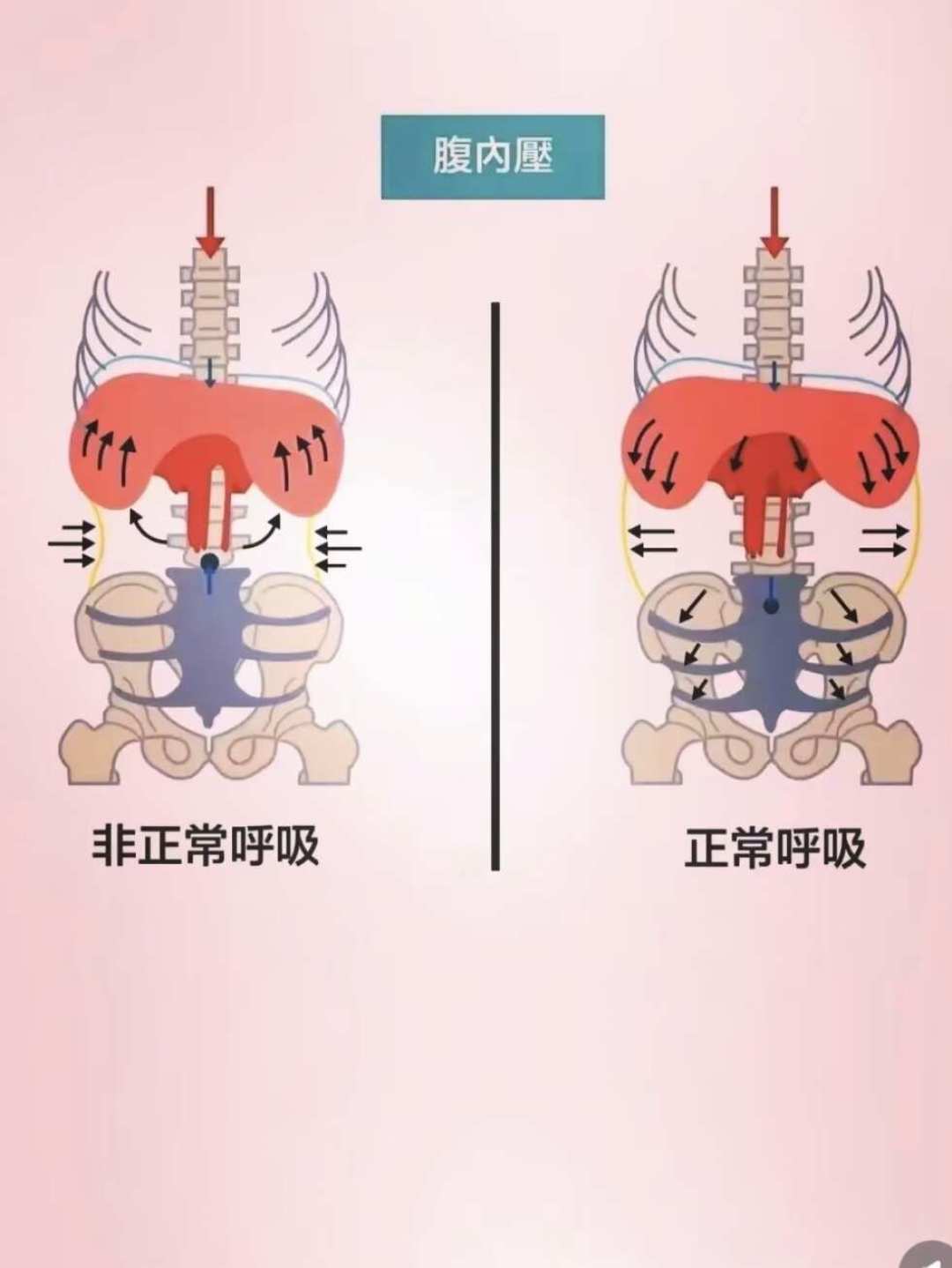 练核心先伤腰?你可能从「收紧核心」这步就理解错了