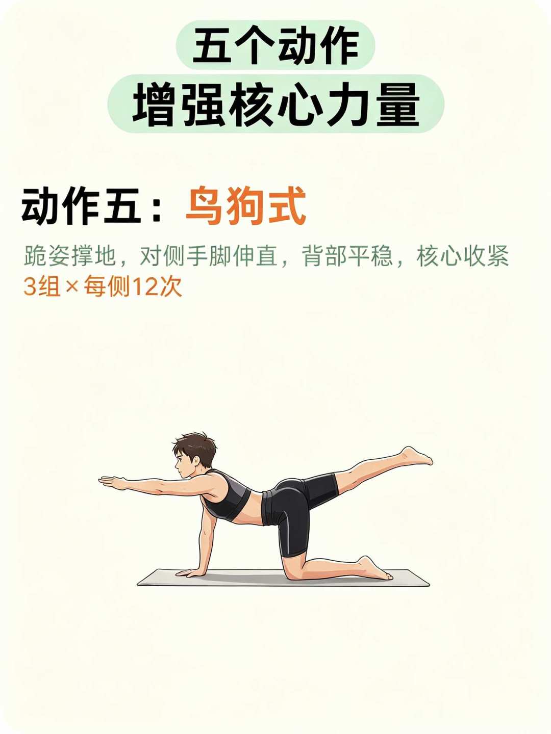 练核心先伤腰?你可能从「收紧核心」这步就理解错了