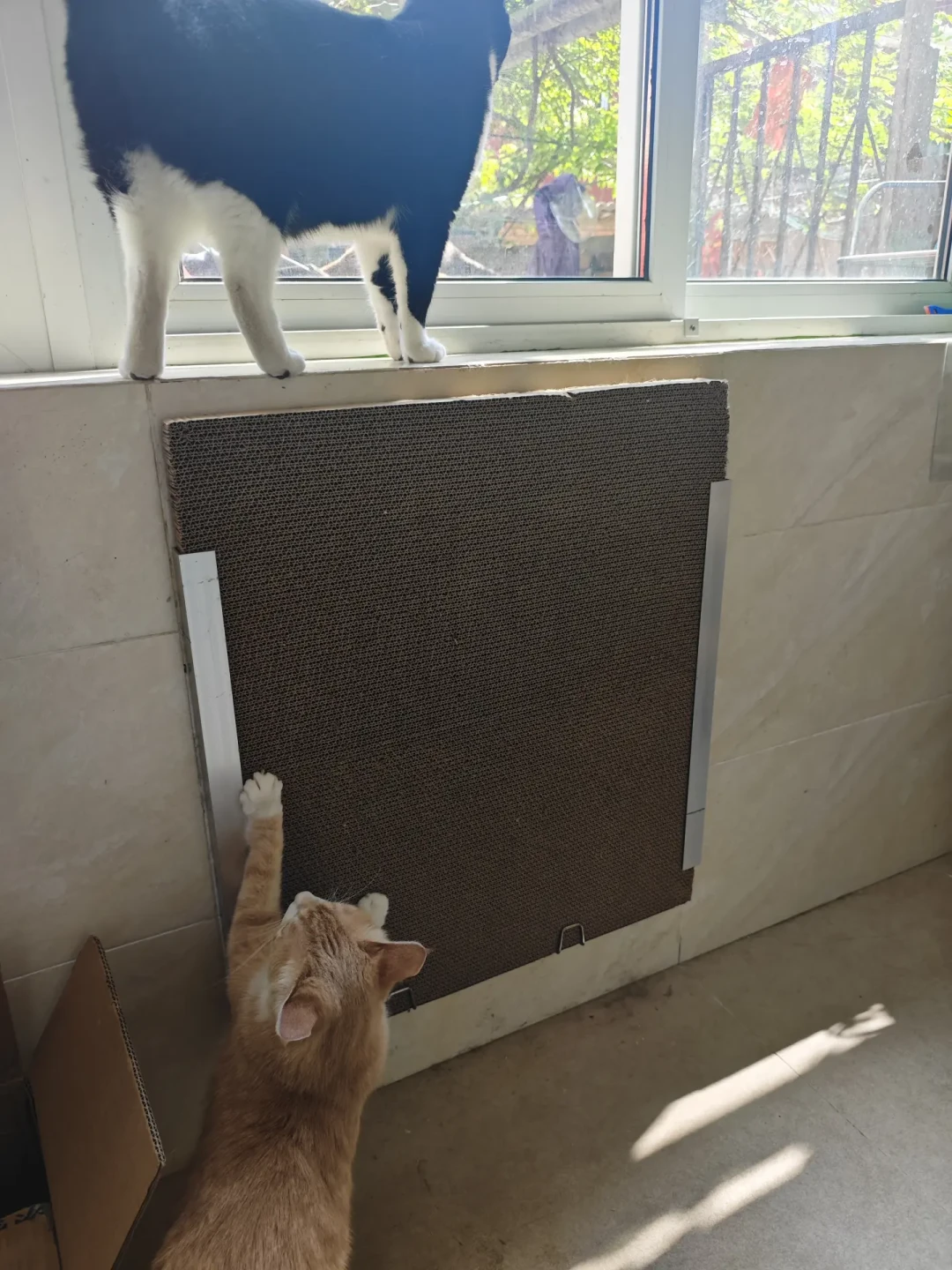 猫墙上唯一注定要换的部件是抓面:材质跟着猫挑,上墙方式跟着墙挑