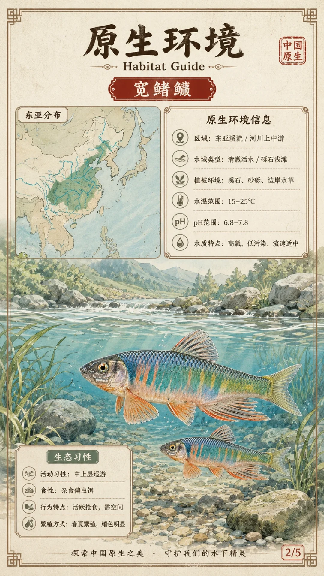 溪流缸暴毙的鱼,一大半不是“热死的”:耐温分级表+四档降温方案,撑过8月最后一波高温