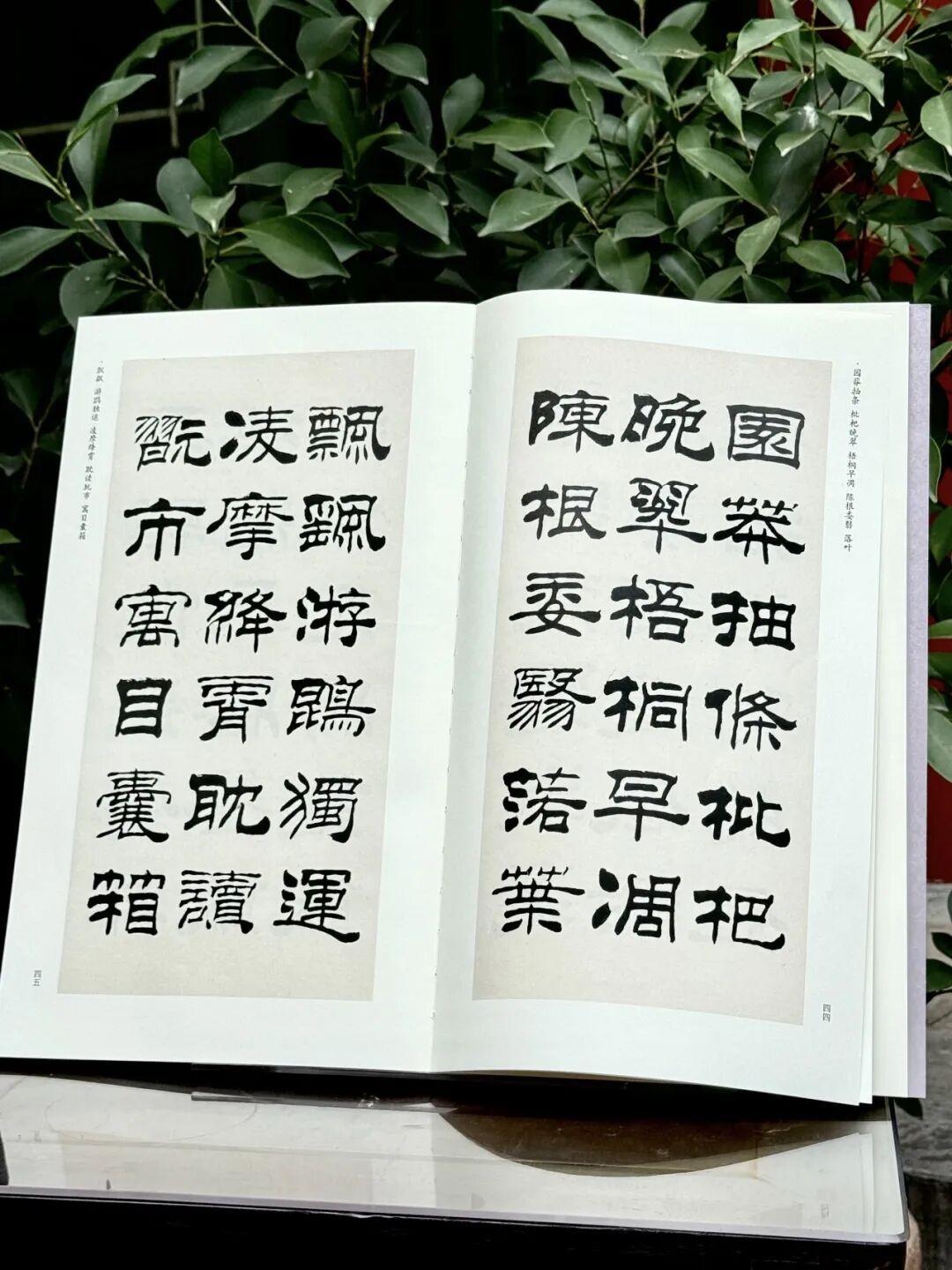 曹宝麟说刘体隶书是