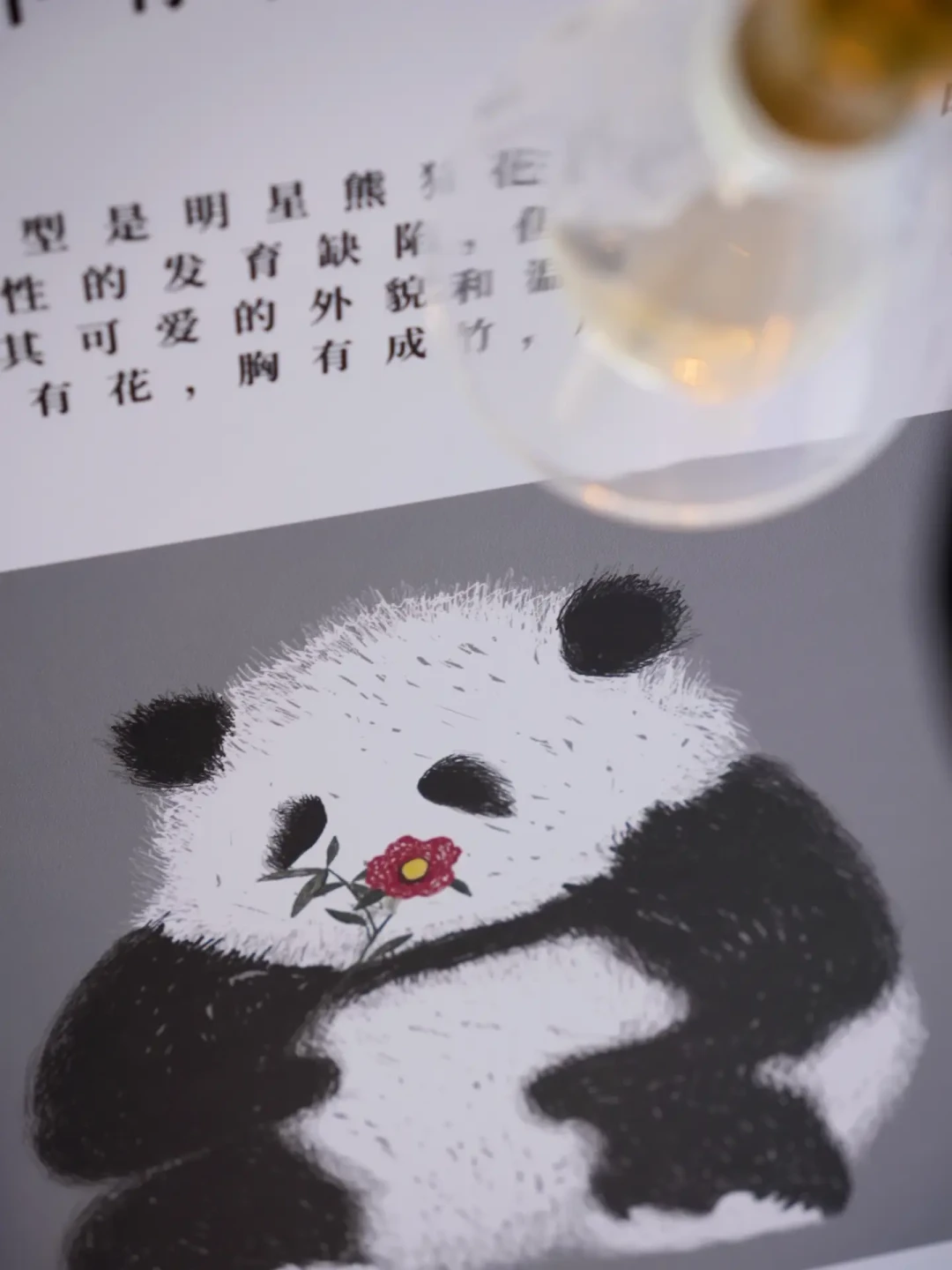 都说五朵里的