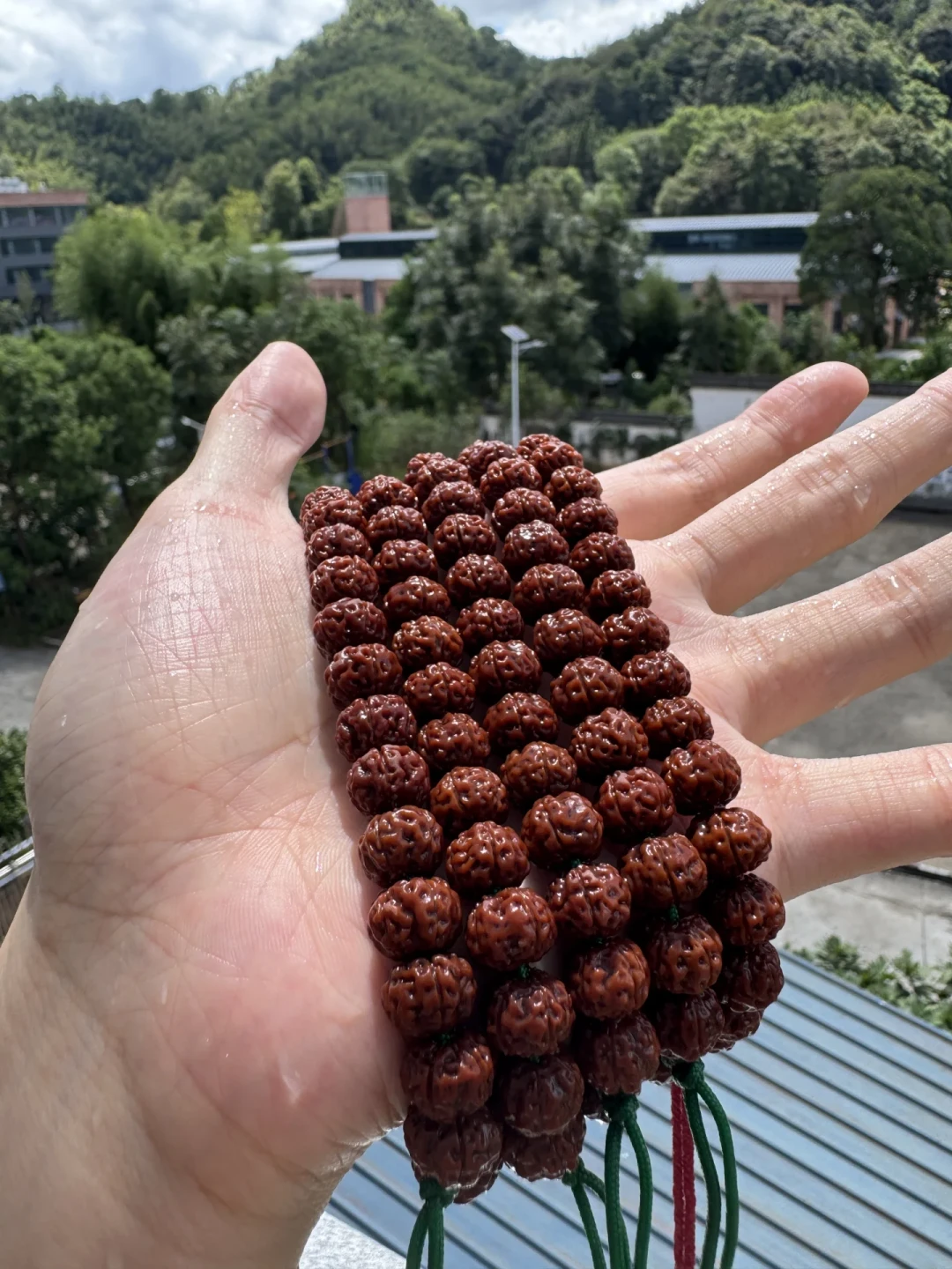 一把洗衣粉把手串洗上热搜:包浆毁于这4种意外,预防一件只要几块钱