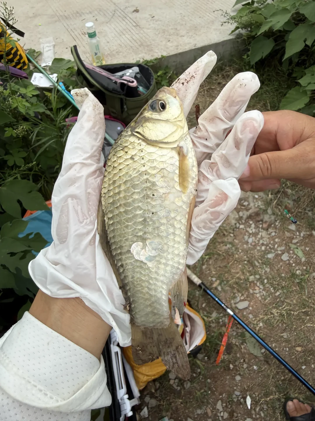 大武台武汉站收官,先把模仿邓刚这笔账算清:哪些动作能搬,哪些搬过去就是空军