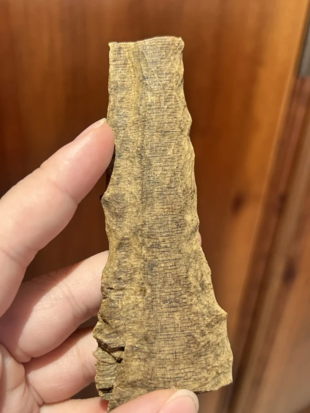 沉香是