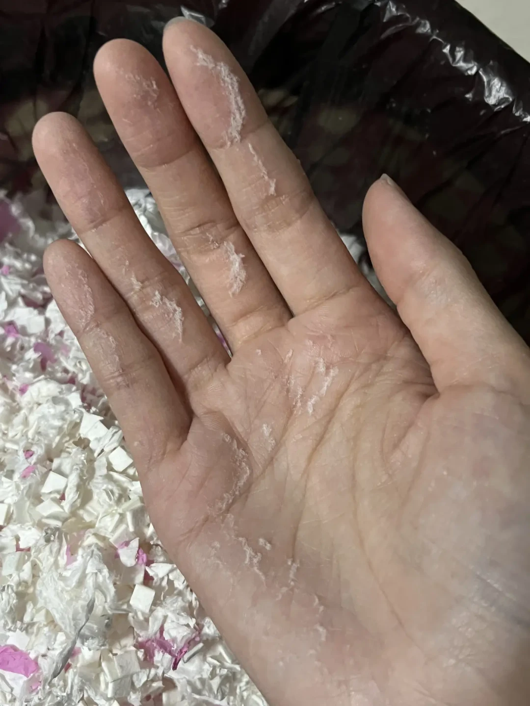一降温全网都在给鼠鼠换垫料:先别急着囤纸棉,一张筛检表、3桩