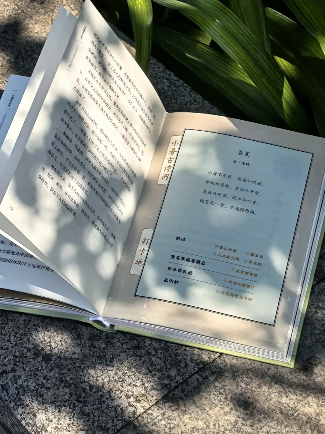 一天了才28次播放:盘完文物出版社官方账号数据,我发现蹲新书的地点不在官方号