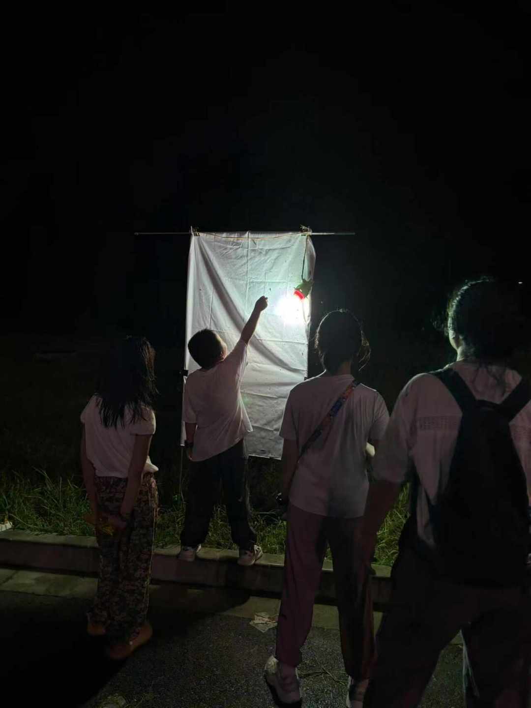 夜观遇上下雨,到底出不出门?版纳雨季把