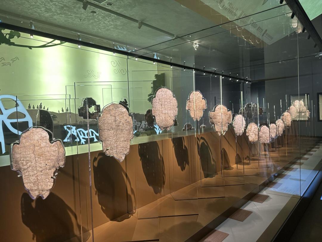 读完《翦商》想去殷墟?这场正在展的特展,值得专门跑一趟安阳