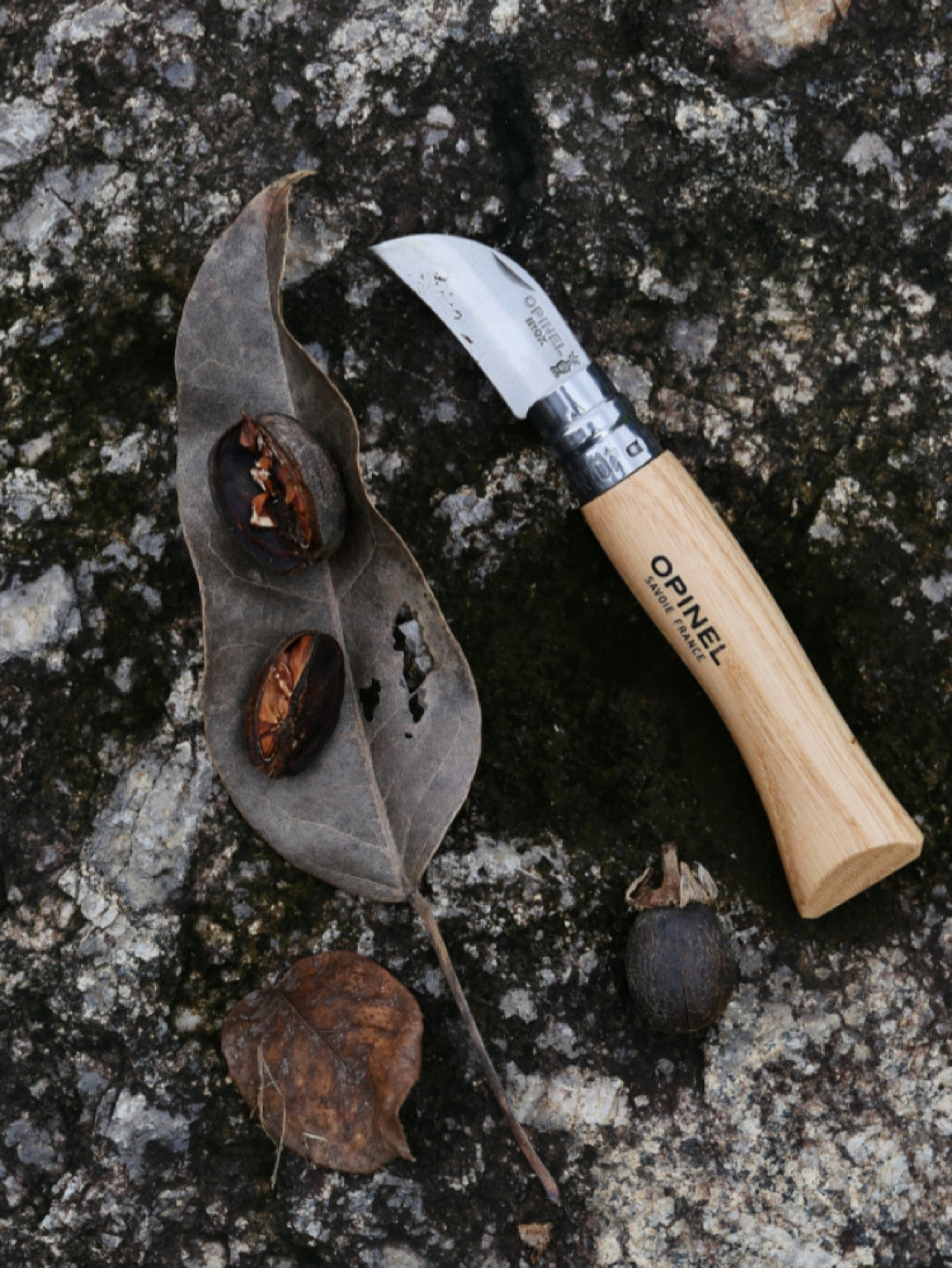菌季收尾：给捡菌子准备的这把 Opinel