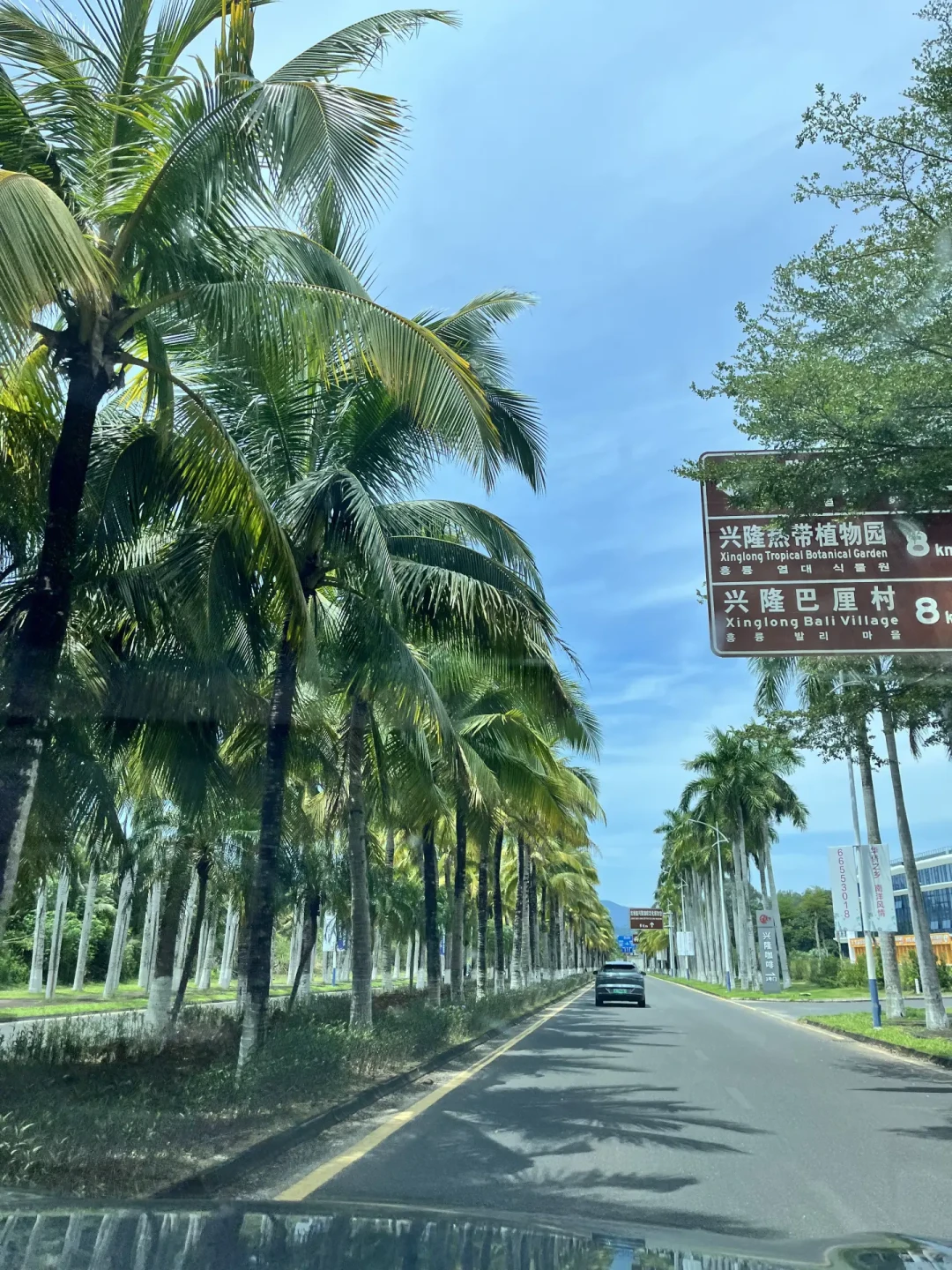 国庆海南租车预订环比涨超40%,有租客提醒“到时候没车”:988公里环岛旅游公路落地自驾,取车前先把三笔账算清