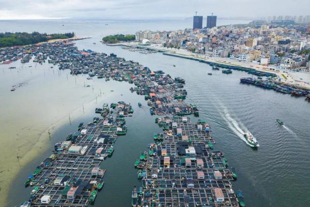 国庆海南租车预订环比涨超40%,有租客提醒“到时候没车”:988公里环岛旅游公路落地自驾,取车前先把三笔账算清