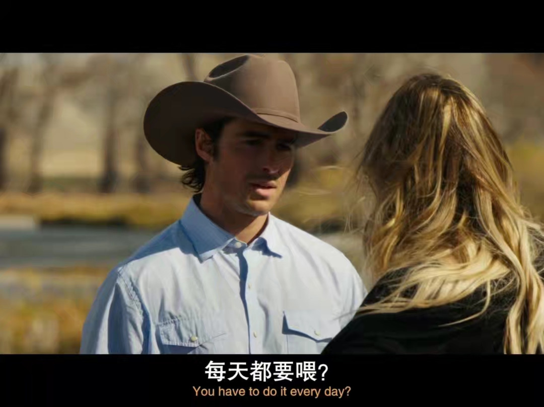 上线半年,《麦迪逊河谷》迎来第二波安利:谢里丹最“不像谢里丹”的一部剧,到底适合谁