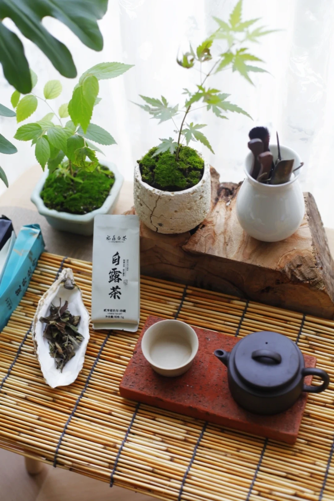 “春茶苦,夏茶涩,要好喝,秋白露”——但今年秋茶市场有两个变量:福鼎茶农可能不采了,外省茶等着补位。对完全网150多篇帖和两份行业观察,秋茶时间表、3条红线、4类真秋茶一次说清