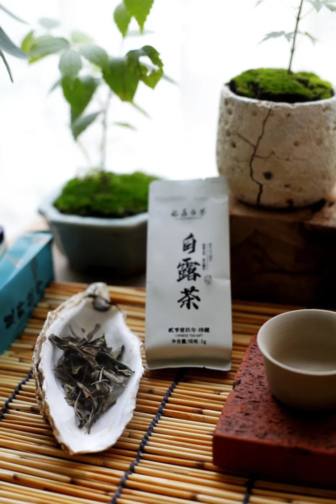 “春茶苦,夏茶涩,要好喝,秋白露”——但今年秋茶市场有两个变量:福鼎茶农可能不采了,外省茶等着补位。对完全网150多篇帖和两份行业观察,秋茶时间表、3条红线、4类真秋茶一次说清