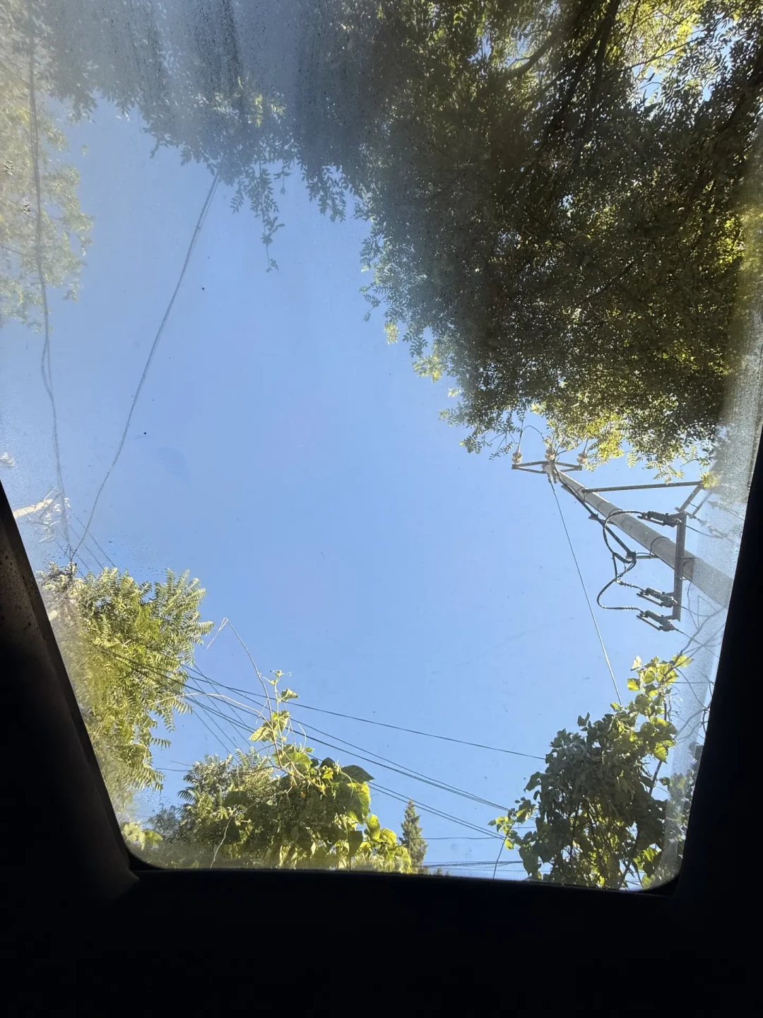 十一准备睡车里的，先别急着开