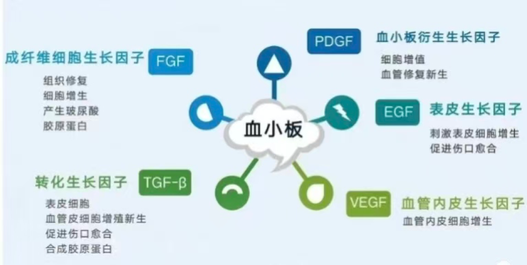 打了针就只能置换?带爸妈做膝盖注射前,先看清分期、次数和那3个月窗口