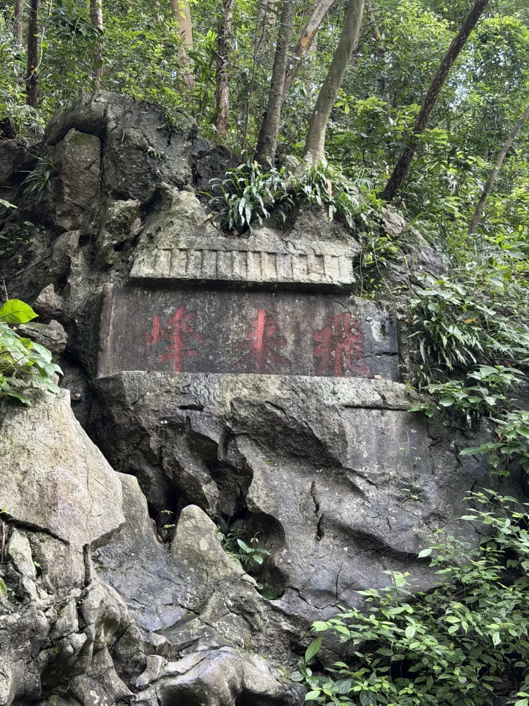 多地取消预约,故宫却仍然秒空:国庆抢票前,把放票时间表、兜底路线和爽约规则对一遍