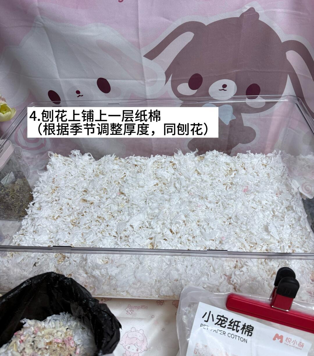 翻完全网5万收藏的养鼠平替帖:6样真能省,4样智商税,3样千万别省