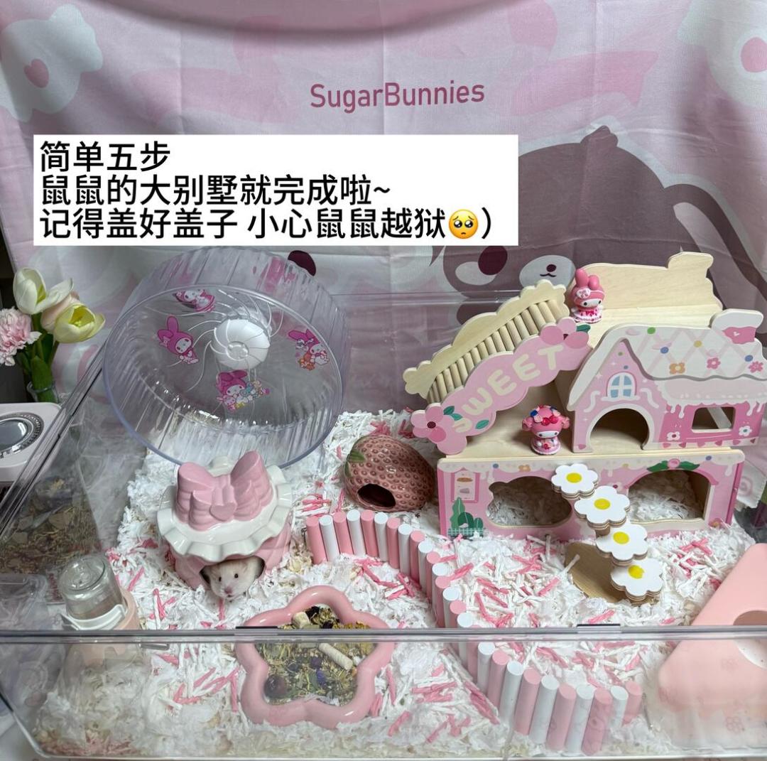 翻完全网5万收藏的养鼠平替帖:6样真能省,4样智商税,3样千万别省