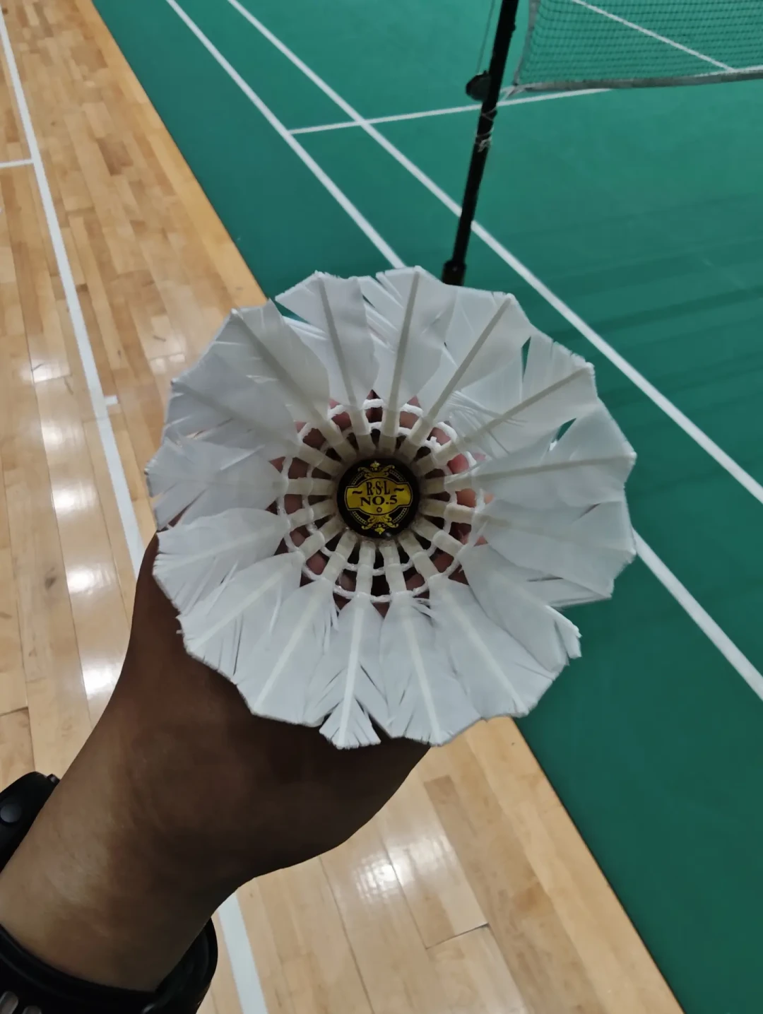 被索赔25万、BWF也批了人造球进赛事：翻了全网50多篇实测帖，羽毛球
