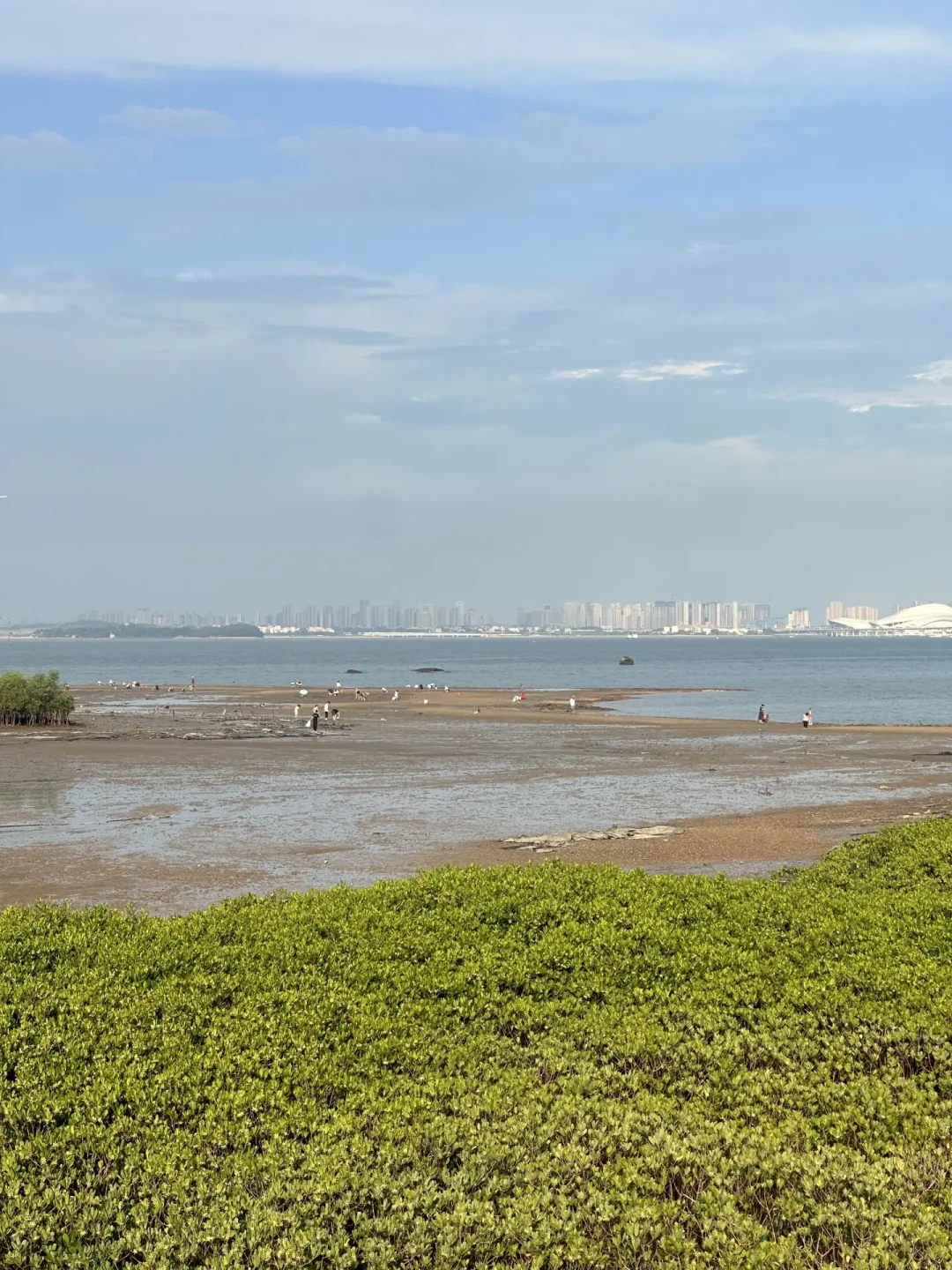 青岛海边3天救起4人:开海后第一个挖蛤蜊大潮窗口,先看看滩涂上“出事的人”都长什么样