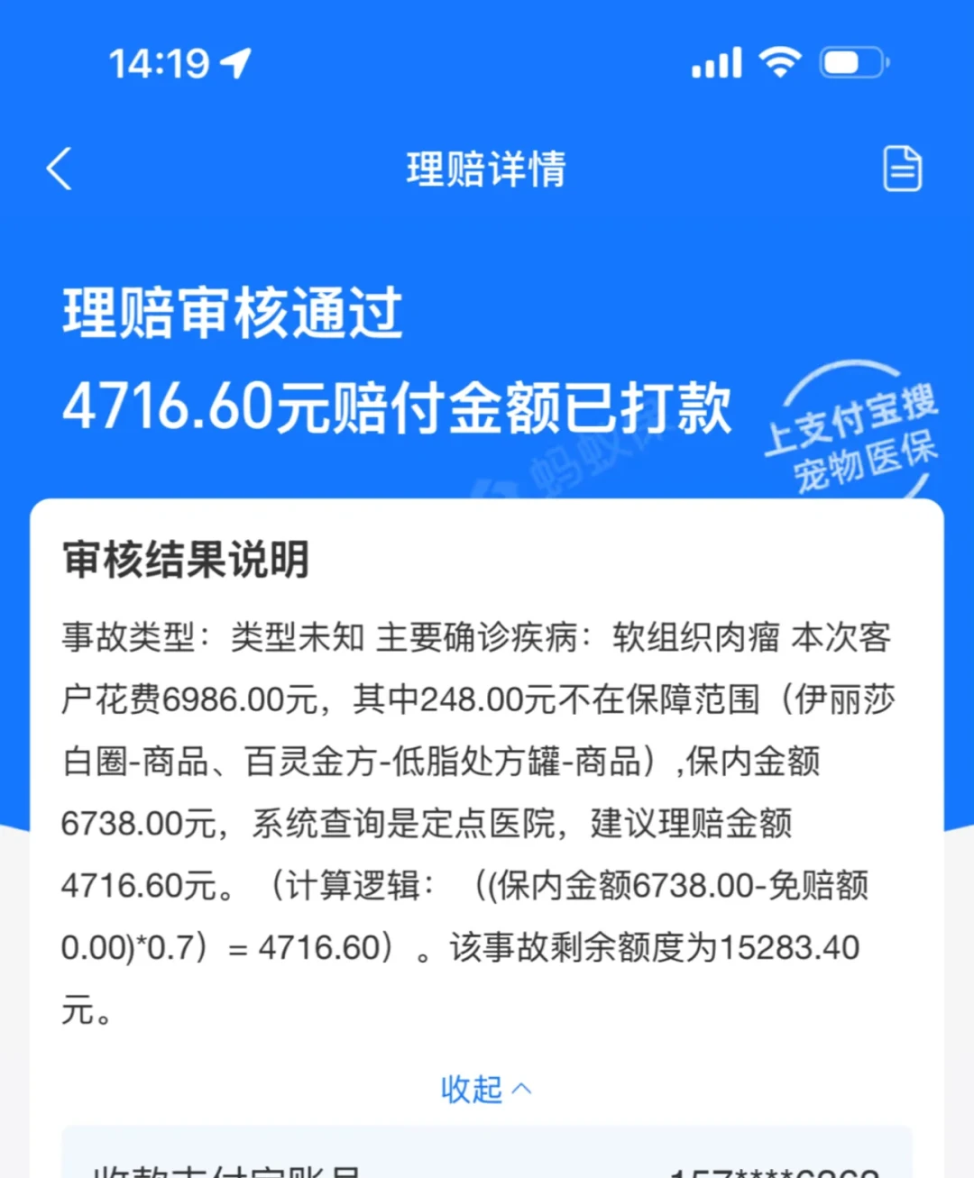 10岁老狗被拒了三次才通过:翻完8月新一批宠物险的年龄条款,投保窗口比你以为的窄