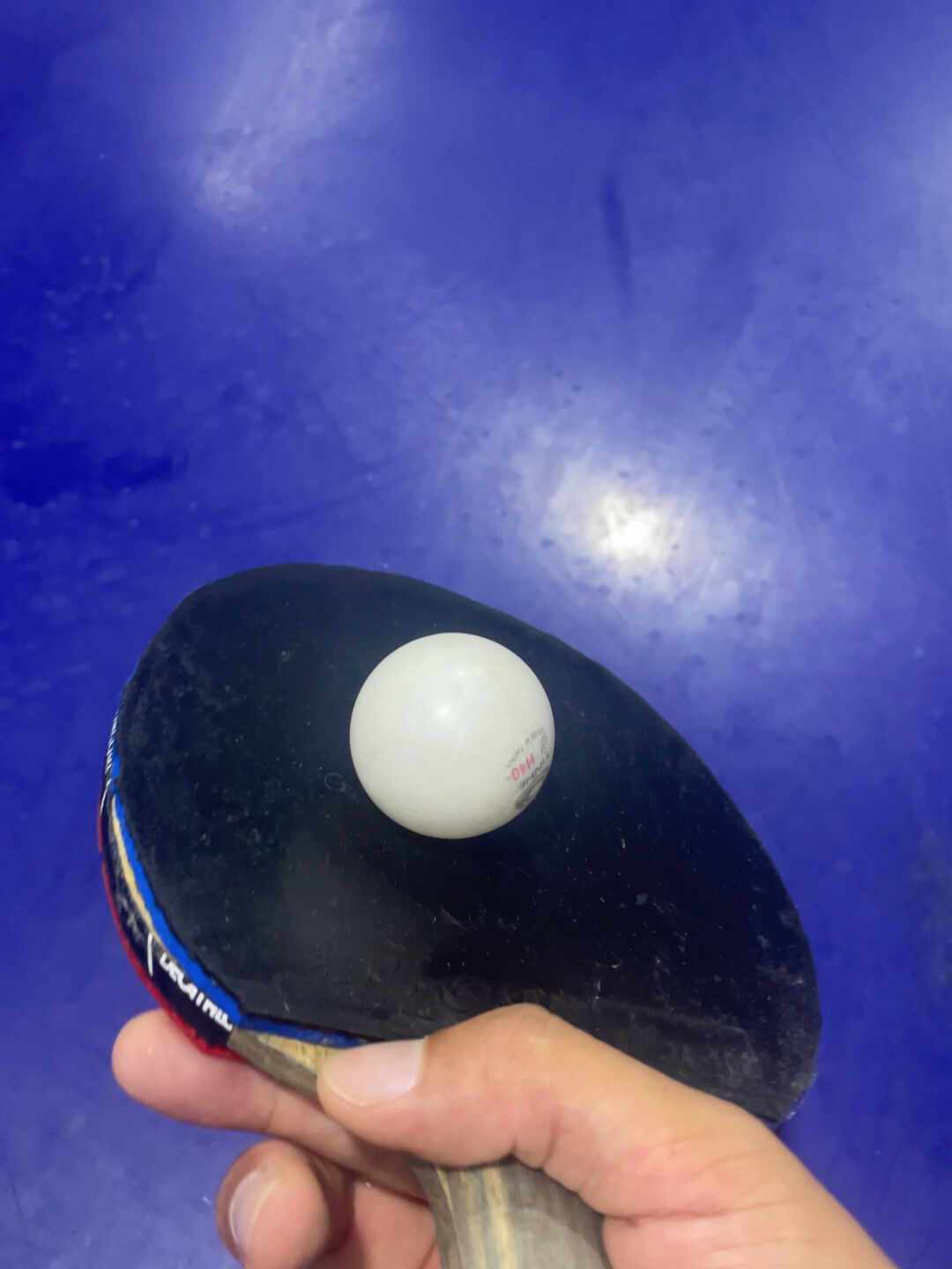 樊振东打满一年Z03又换回狂飙：国手用脚投票之后，抄配置前先算三笔账