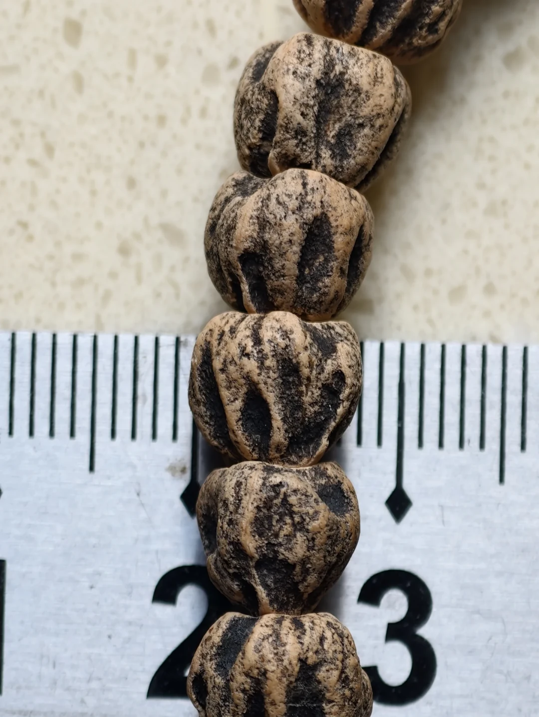 百香籽鉴定帖排队2170楼:你的第一串,钱要分给籽、手和话术多少