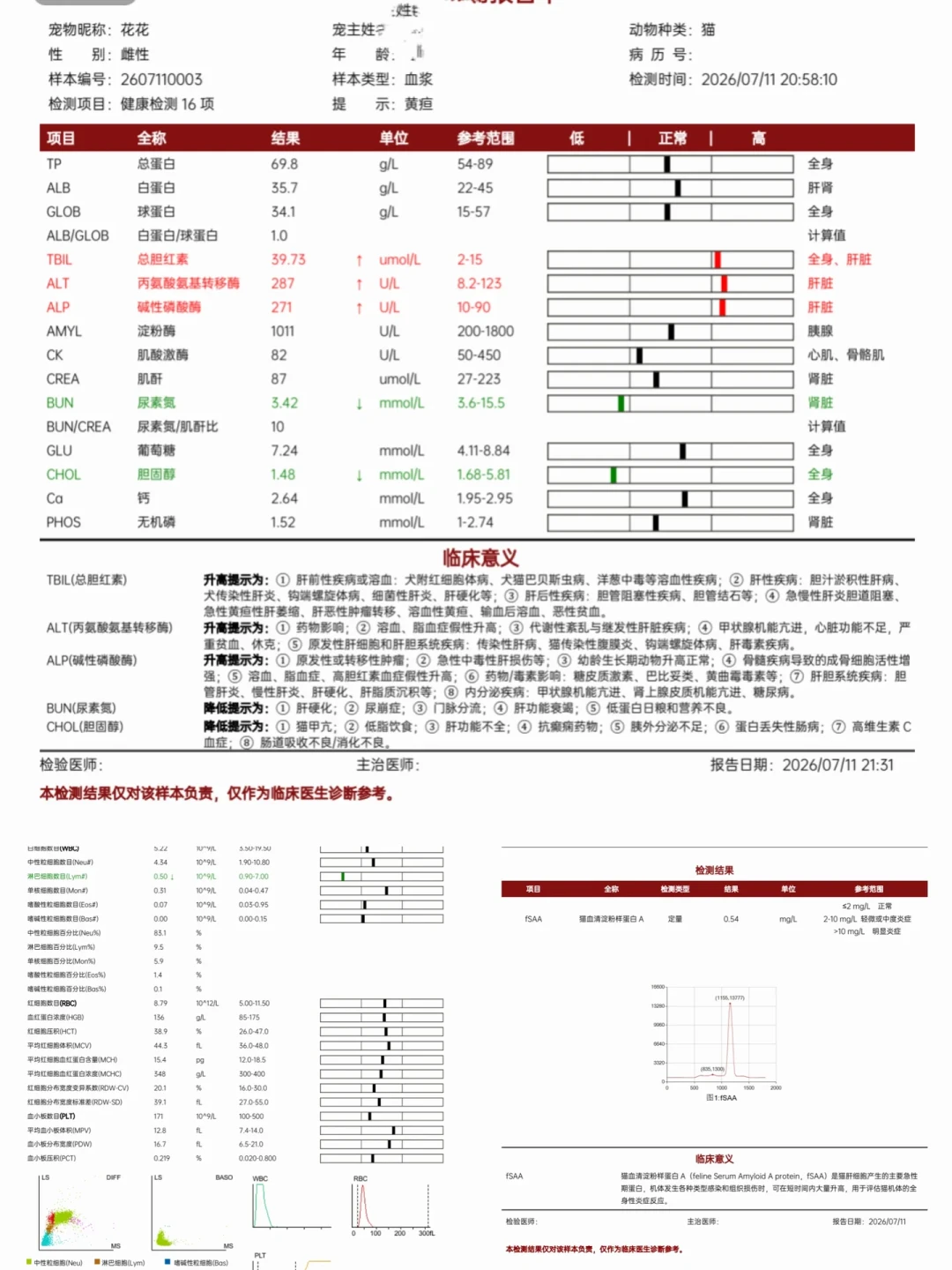 老年猫两天不吃,别硬扛也别瞎灌:翻了17户的一手记录,救命的窗口就在48小时