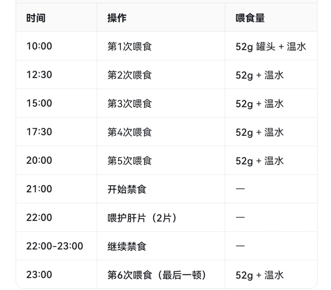 老年猫两天不吃,别硬扛也别瞎灌:翻了17户的一手记录,救命的窗口就在48小时