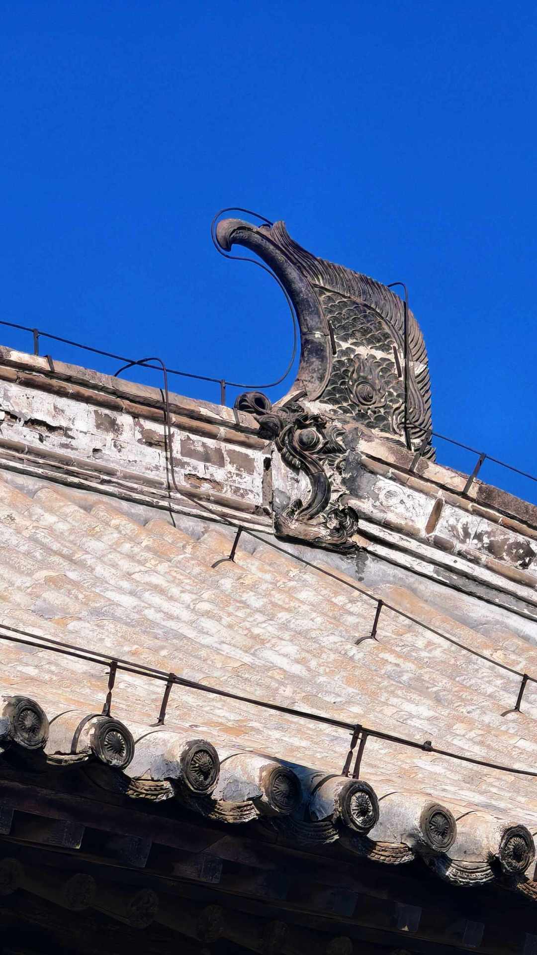 鸱吻被骂成“金角大王”,古建圈又为“日本太新”吵了一架:什么才算修得对?