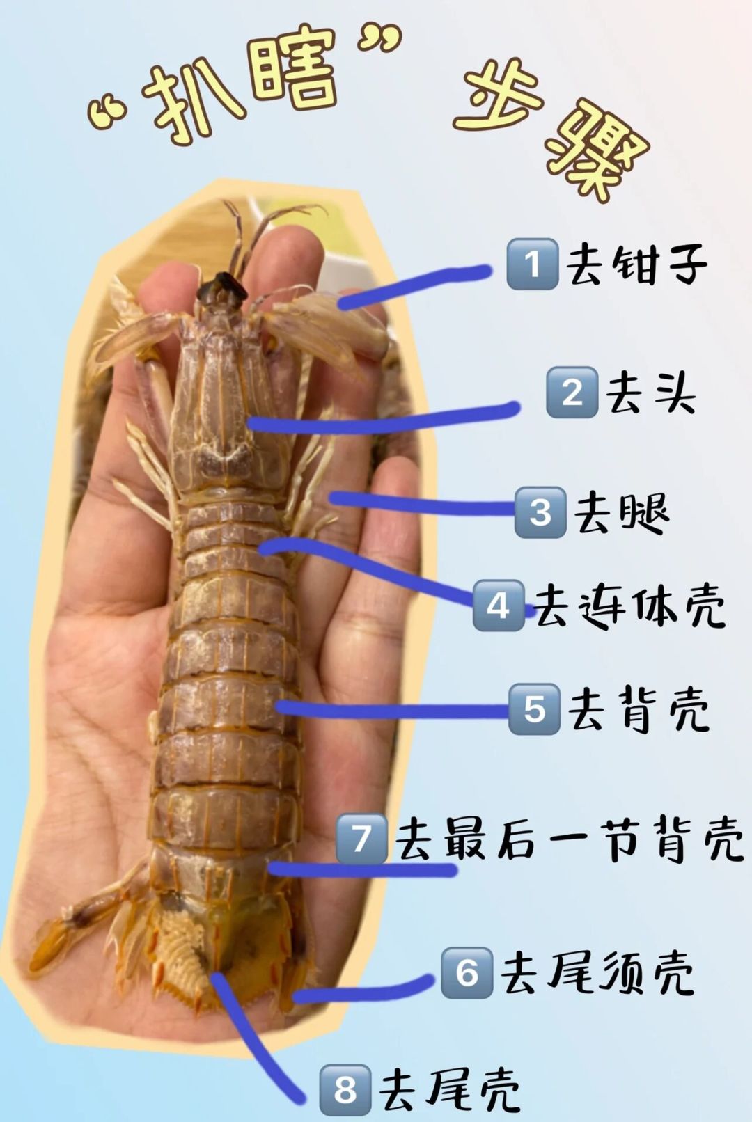 开海季皮皮虾行情出来了:带膏的比无膏贵近一倍,选、做、剥之前先看这篇