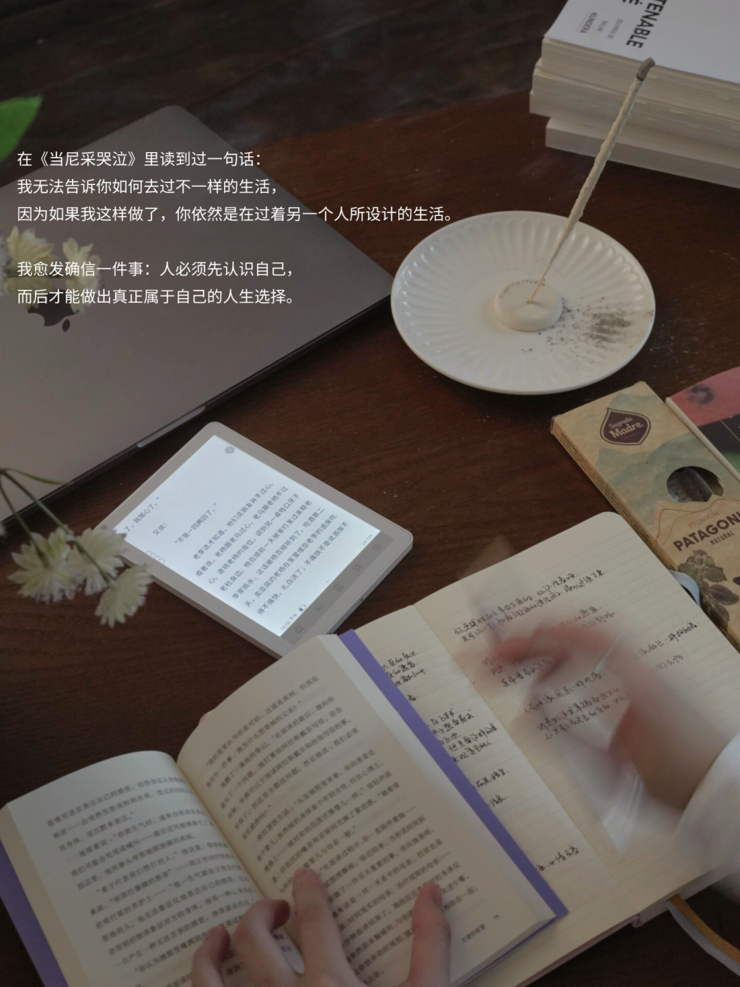 彩墨屏扎堆首发2099元:横评完5台之后,我发现只看小说的人可能还得买黑白