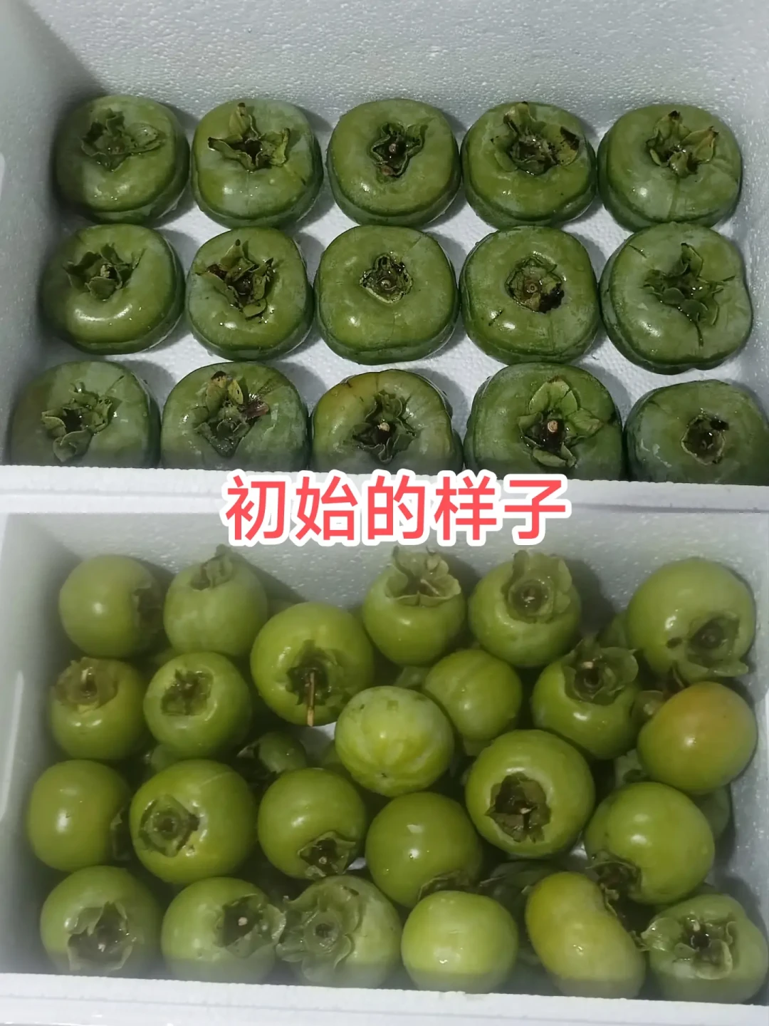 太秋开秤、“柿子界爱马仕”刷屏：翻完这两周的踩雷帖，先看清9月柿子的档期表、3档价格账和2个安全真相