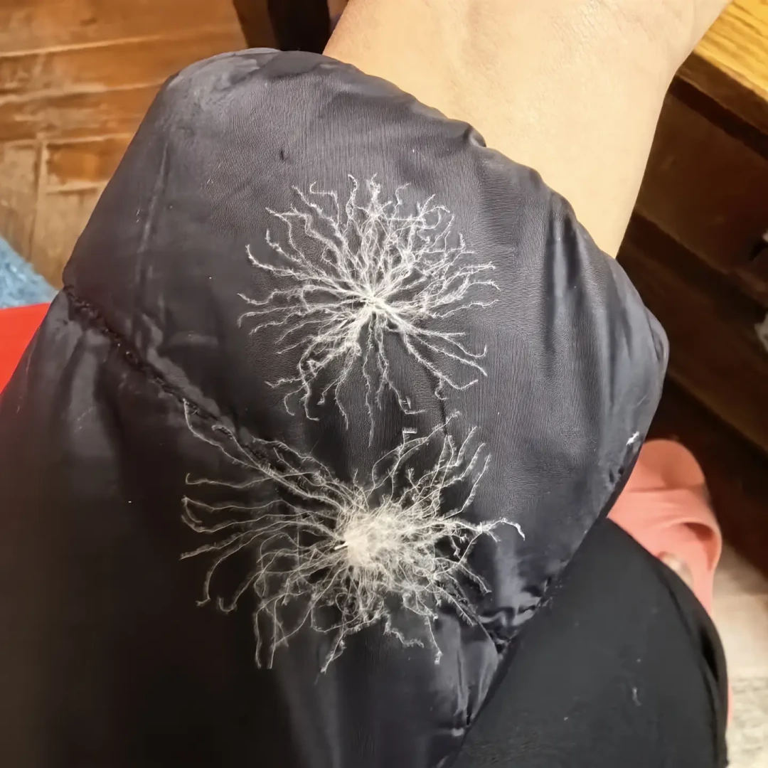 新宿伊势丹一件3克充绒的蒙口刷屏:一万多的羽绒服到底暖不暖,先看水洗标上是多少克