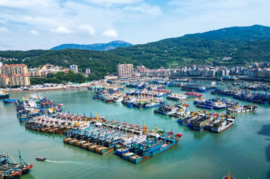 危化品码头成网红“海钓天堂”:翻了完整调查和5条事故处罚记录,出钓前先把你的钓点对照一遍