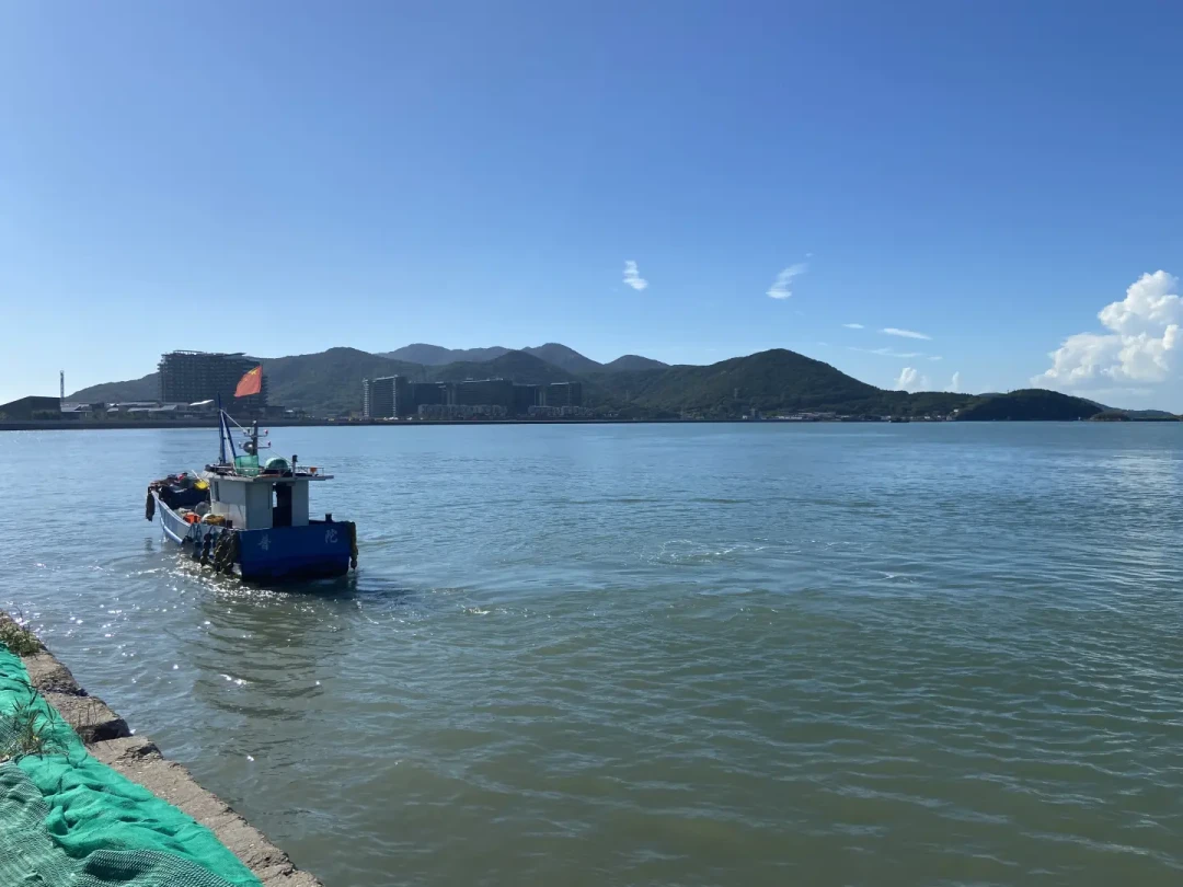 危化品码头成网红“海钓天堂”:翻了完整调查和5条事故处罚记录,出钓前先把你的钓点对照一遍