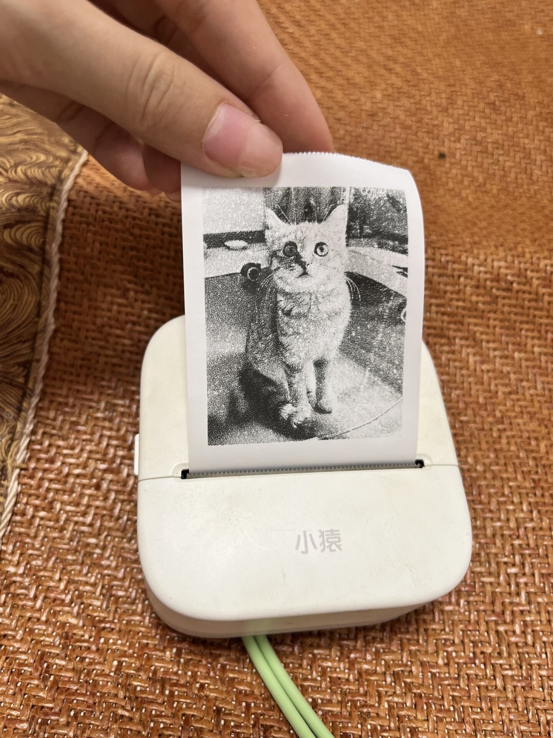 贾乃亮跑进小猿官方直播间送打印机词典笔:翻了81条真实成交价,