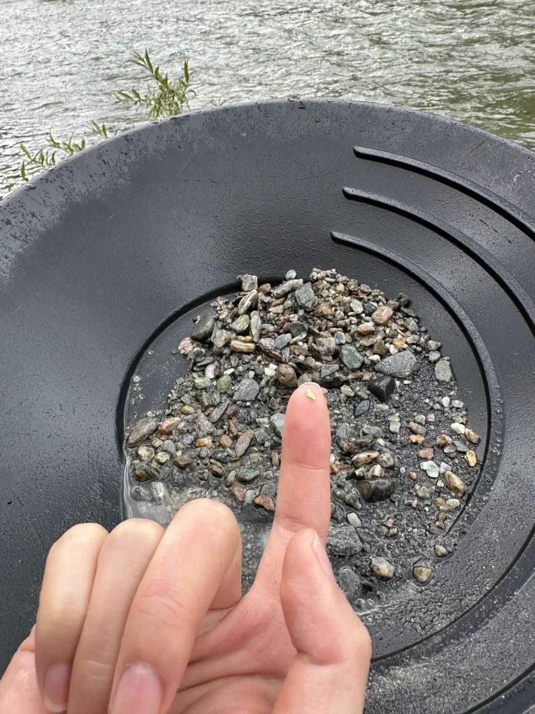 金价一周坐了趟过山车，
